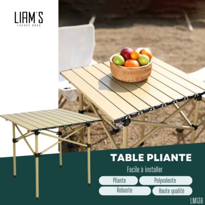 Table Pliante LM136