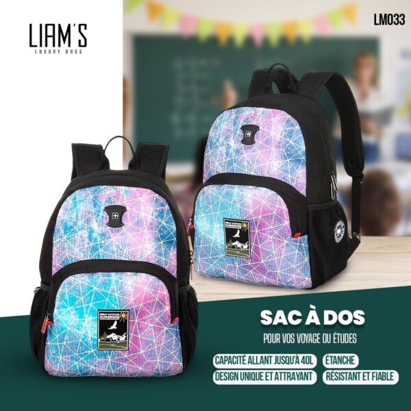 Sac à dos professionnel Swisswin LM033