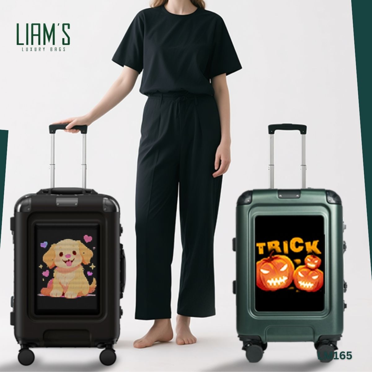 Valise LED Intelligent - Affichage HD LM165 – Image 7