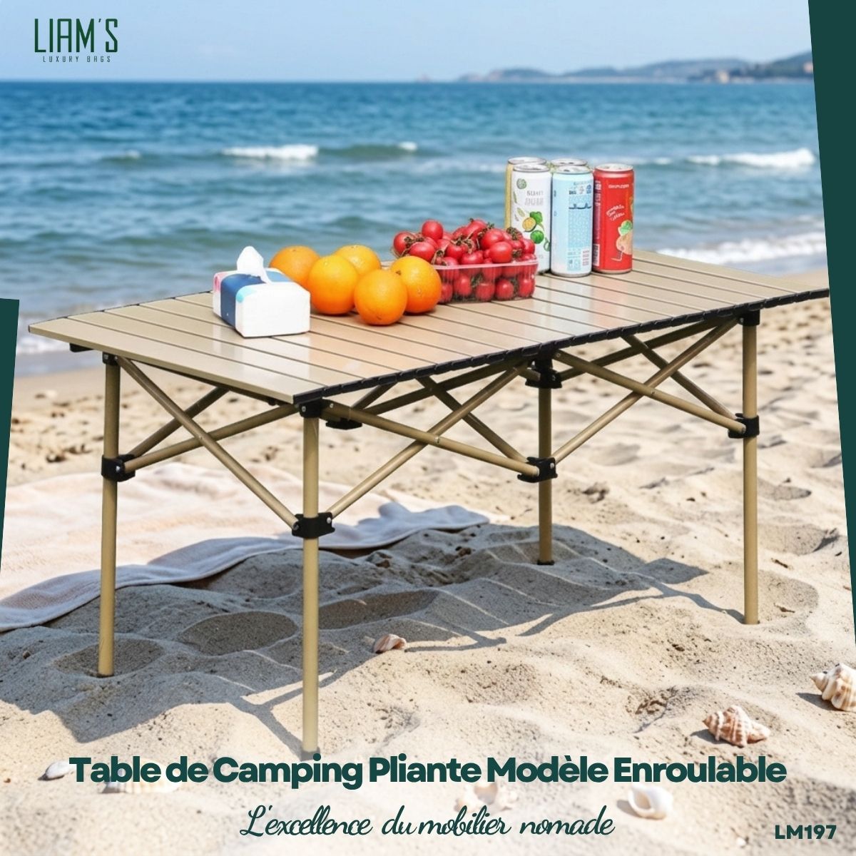 Table de Camping Pliante Modèle Enroulable LM197