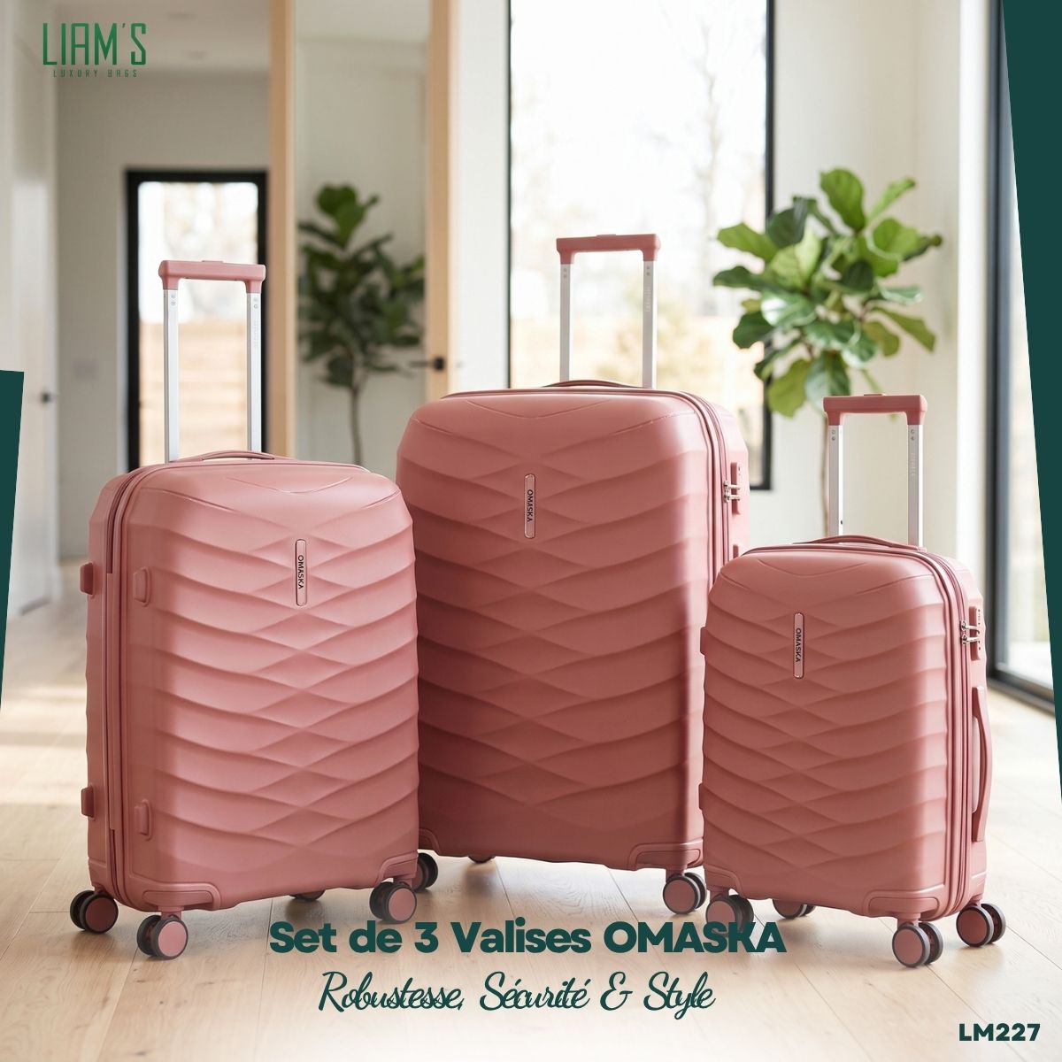 Set de 3 Valises OMASKA Incassables LM227